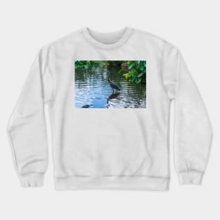 Great Blue Heron 3 Crewneck Sweatshirt